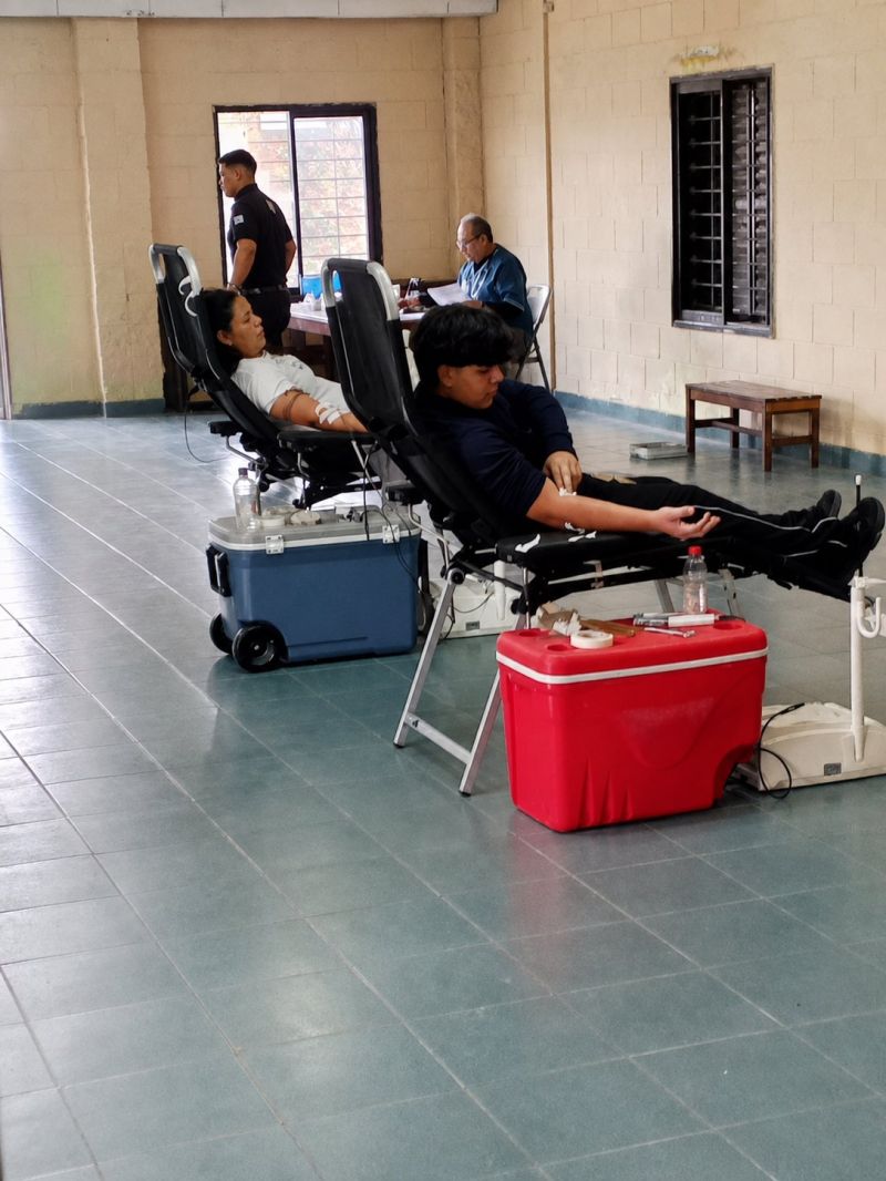 Sangre Porá: educación que salva vidas