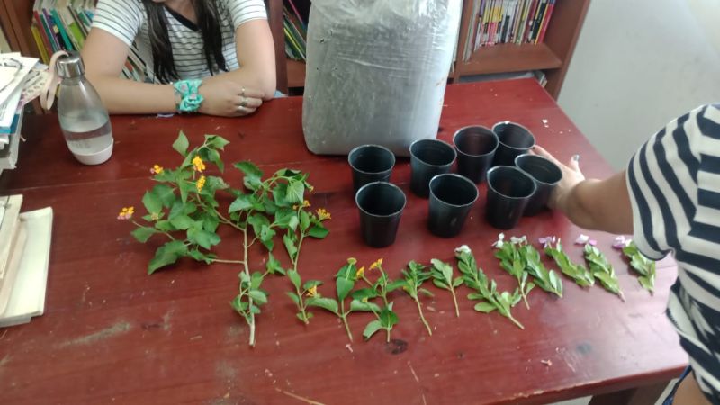 Arte y Huerta: Adolescentes de María de Nazareth desarrollan talleres de oficio y sustentabilidad